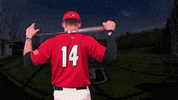 Baseball GIF by Seattle U Redhawks