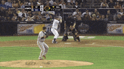 GIF by SB Nation