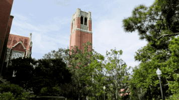 uf go gators GIF by University of Florida