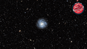 James Webb Stars GIF by ESA Webb Space Telescope