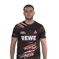 Sk Gaming No Sticker by Bundesliga