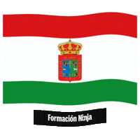 Castilla Y Leon Flag Sticker by Formación Ninja