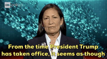 Midterm Elections GIF