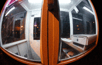 portland GIF by hateplow