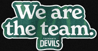 Teamdevils GIF by tasmaniafc