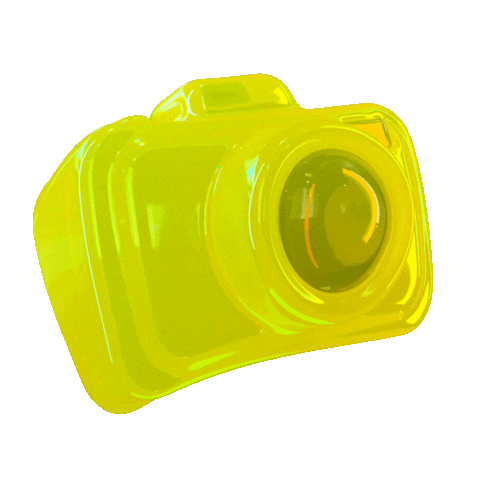 Summer Camera Sticker by Multicolore