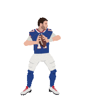 Buffalo Bills Football Sticker by Panini America