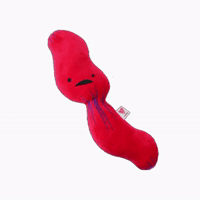 Swallow Eating GIF by I Heart Guts