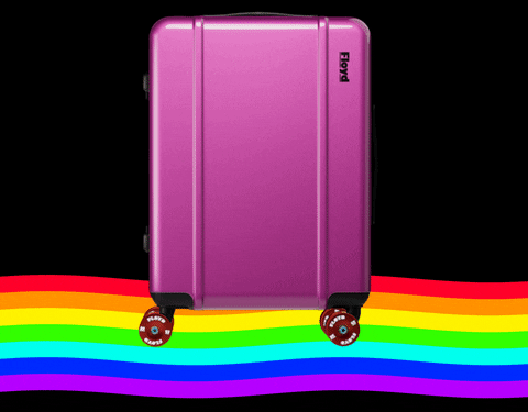 floydone giphyupload suitcase floyd trolley GIF