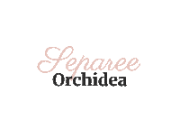 Separee Orchidea Sticker by Laue Festgarderobe
