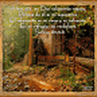 Video gif. Blurry image of what looks like a cabin deep in the woods with white, unreadable text over it.