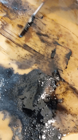 zoamandinefery giphyupload GIF
