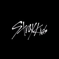 Stray Kids Skz GIF