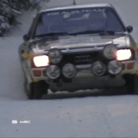 Driving Audi Sport GIF by FIA World Rally Championship