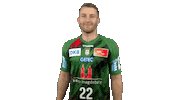 Handball-Bundesliga Handball Sticker by LIQUI MOLY HBL
