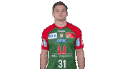Handball-Bundesliga Handball Sticker by LIQUI MOLY HBL