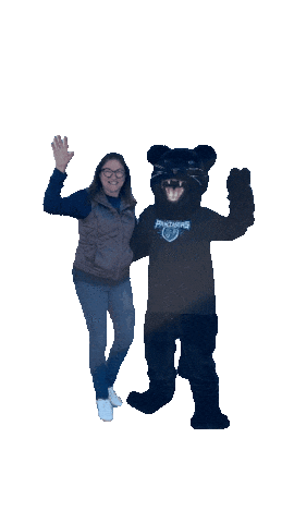 Academica Sticker by Somerset Panthers