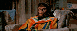 planet of the apes swag GIF