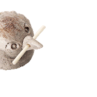 Germany Travel Sticker by ulmentdecken