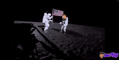 Deeznutsnft GIF by Deez NFTs