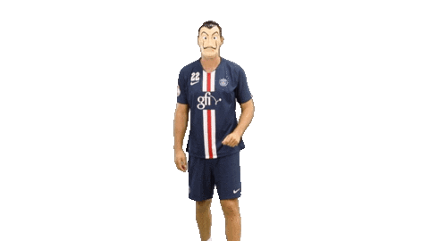 Ehf Champions League Fun Sticker by Paris Saint-Germain Handball