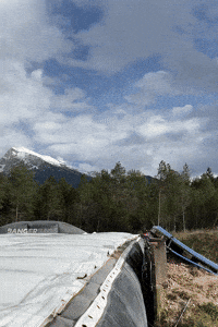 bonebinding bone binding backside rodeo crail GIF