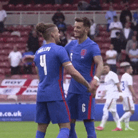Euro 2020 Hug GIF by England