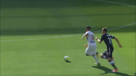 goal lyon GIF by Olympique Lyonnais