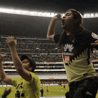 excited soccer GIF