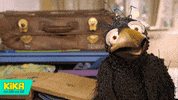 raven talking GIF by KiKA