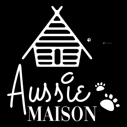 aussiemaison australian shepherd GIF