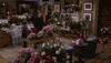 109 GIF