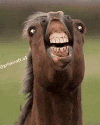 Grimcrafto1 GIF