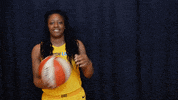 wnba feverbasketball GIF by Indiana Fever