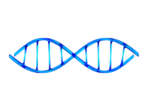 double helix animation GIF by Matthew Butler