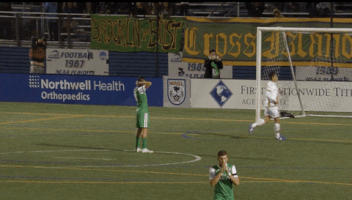 soccer disbelief GIF by New York Cosmos