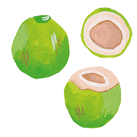 coco bali Sticker by Camille Florès