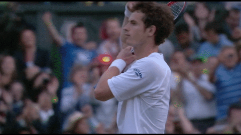 Andy Murray Win GIF by Wimbledon