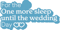 I Do Wedding Sticker by Zola