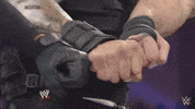 the shield wrestling GIF by WWE