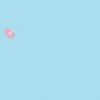 Flying Pig GIF by PositivelyPigasus