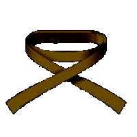 DojoShubukan karate martial arts dojo marron Sticker