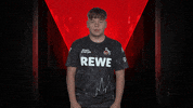 I See You Celebration GIF by Bundesliga