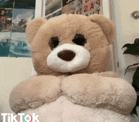 pat pat love GIF by TikTok