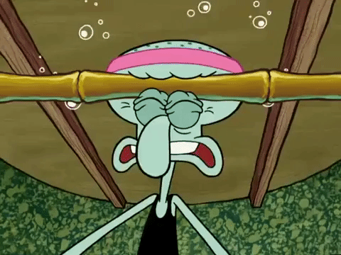 season 5 GIF by SpongeBob SquarePants