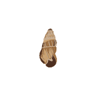 Extinct Species Sepp Sticker by uheheu-arielilustrates