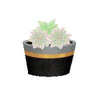 Plants Love Sticker