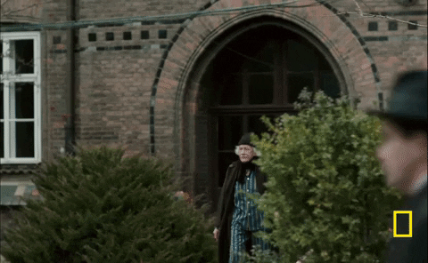 GIF by National Geographic Channel