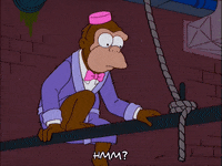 season 12 episode 13 GIF
