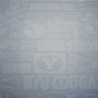 Luke Anderson Celebration GIF by BYU Cougars